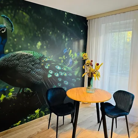 Blue Close To Old Town Bydgoszcz